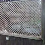 New Trellis