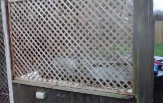New Trellis